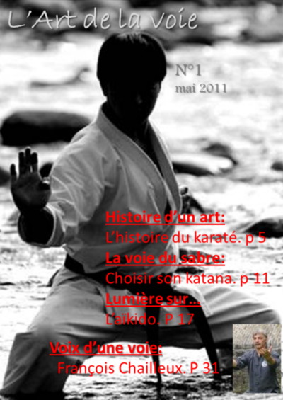 Magazine d'arts martiaux - réalisé sur Madmagz